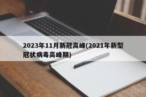 2023年11月新冠高峰(2021年新型冠状病毒高峰期)
